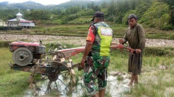 Babinsa Berikan Motivasi Kepada Petani Padi di Wilayah