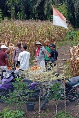 berita-rekomendasi-foto