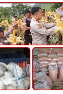 berita-rekomendasi-foto