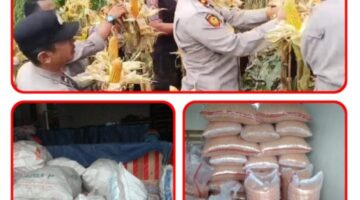 Polri Hadir untuk Masyarakat, Kapolsek Cicalengka Sukses Kawal Program Ketahanan Pangan dan Bangkitkan Ekonomi Desa