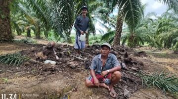 Kasus Pemalsuan Tanda Tangan: Jejak AJB Bermasalah dan Dugaan Penguasaan Lahan Warga Lae Saga, Penyidik Diuji