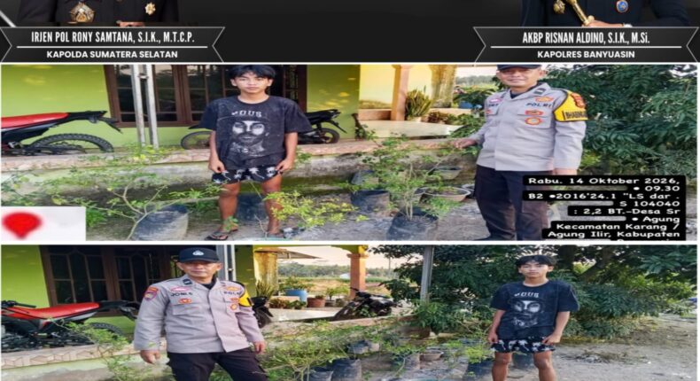 foto slider headline